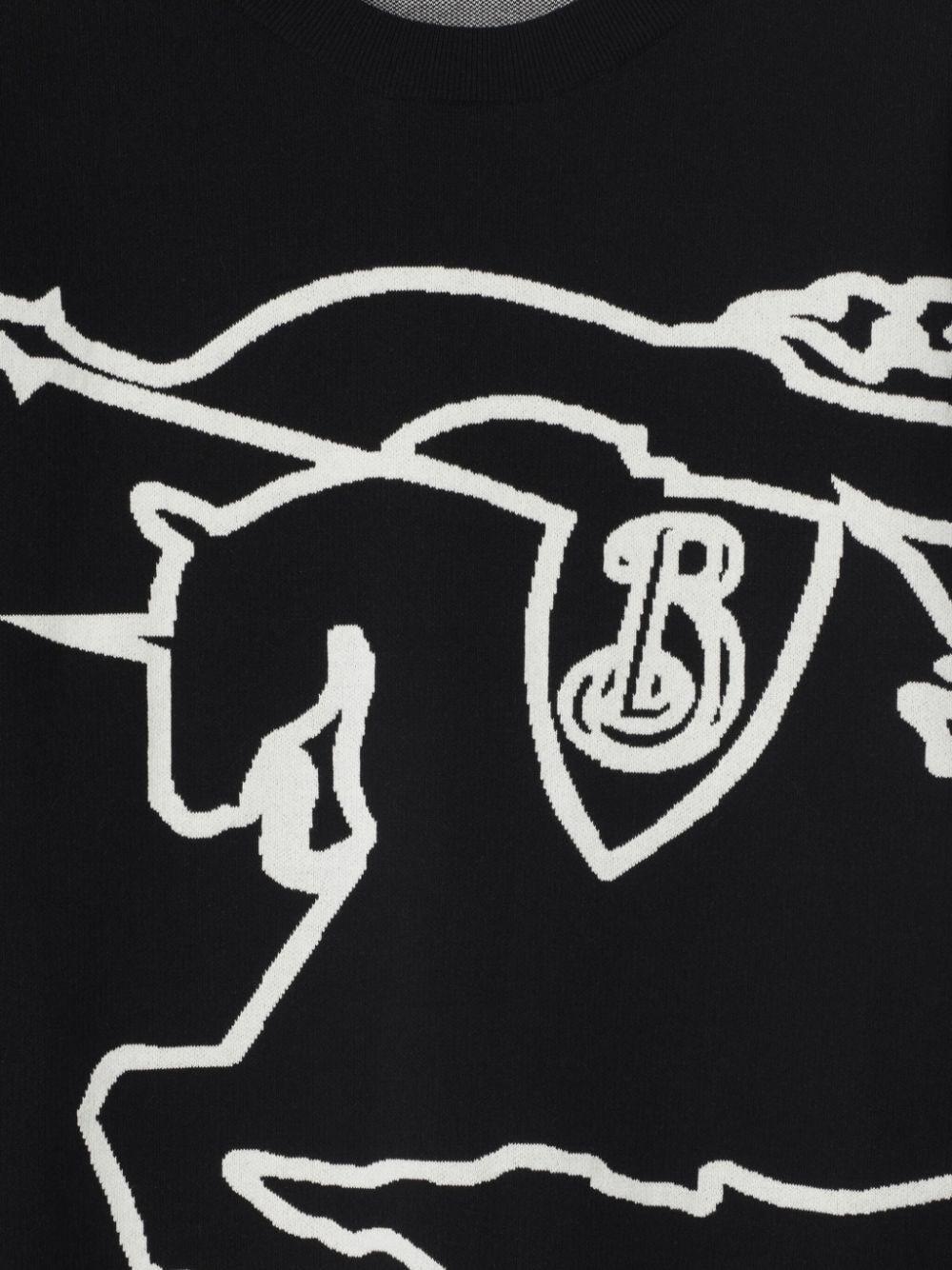 Burberry Crew-Neck Sweater In Linea