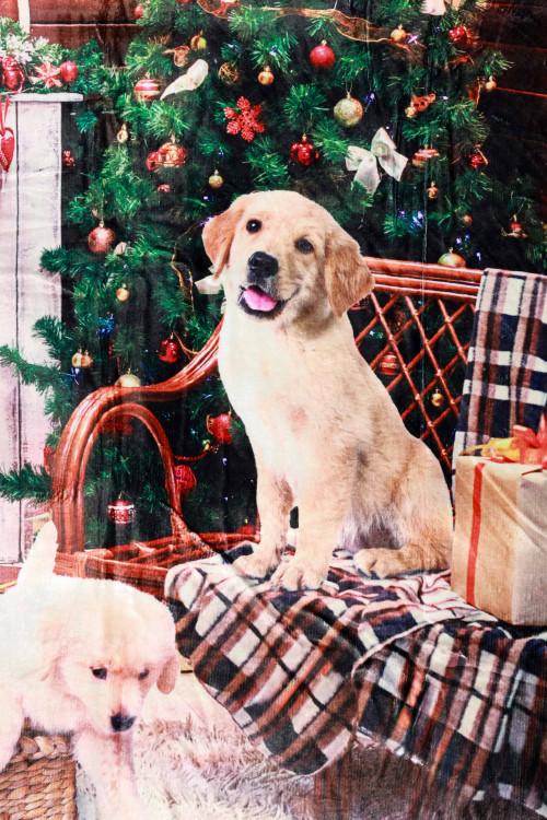 Susy Mix Plaid Stampa Cane Italy