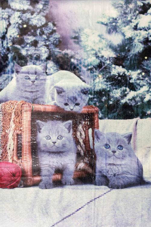Susy Mix Plaid Stampa Gatto Italia