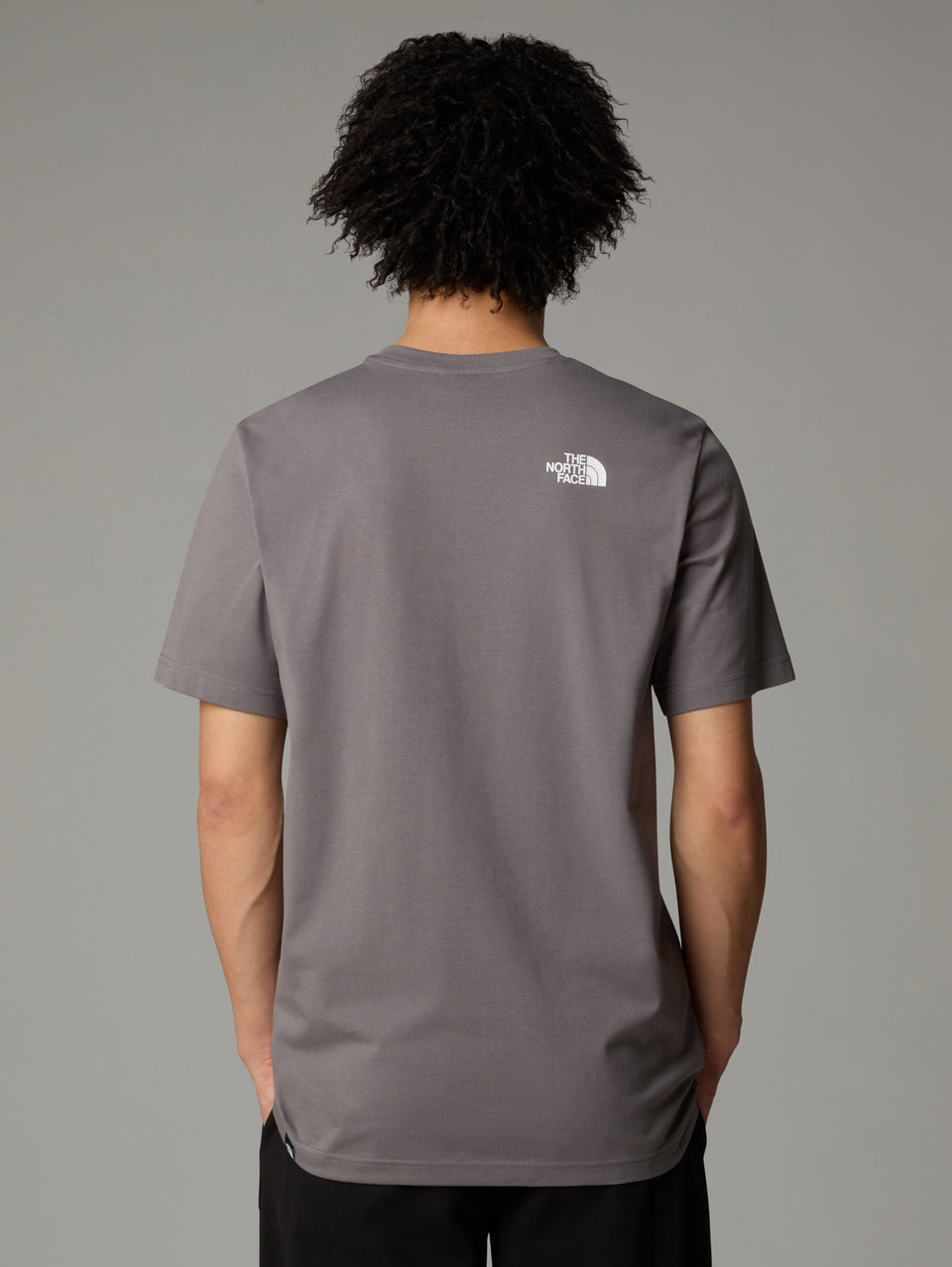 THE NORTH FACE T-shirt Regular Fit con Logo Grigio Negozi Online
